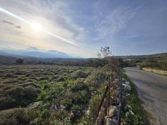 Kreta, Kato Valsamonero: Großes, bebaubares Grundstück zum Verkauf