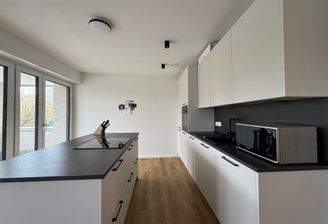 Offene Küche mit Insel