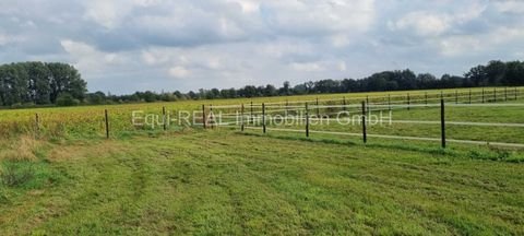 Trittau Bauernhöfe, Landwirtschaft, Trittau Forstwirtschaft