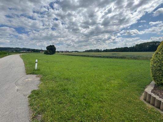 Zweites Grundstück - Landwirtsch. Fläche