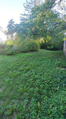 Eine der vielen Grünflächen 