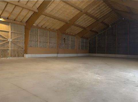 Schierling Halle, Schierling Hallenfläche