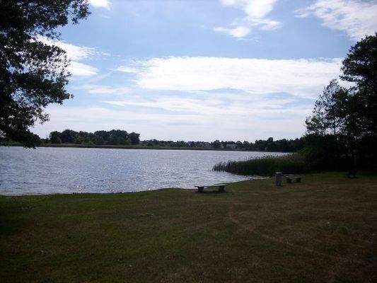 Natur-See straßenseitig gegenüber Wohnhaus
