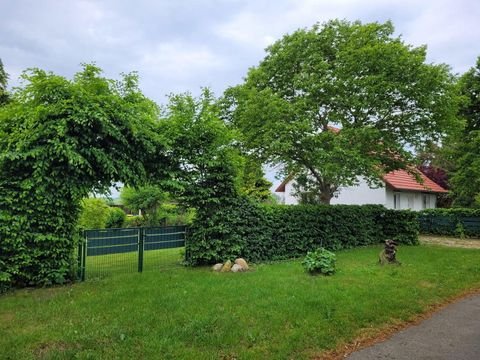 Ribnitz Damgarten Häuser, Ribnitz Damgarten Haus kaufen