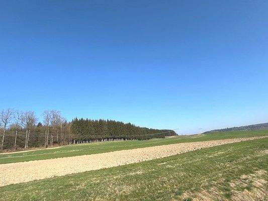 Landwirtschaftsfläche