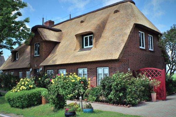 ferienhaus-reetdach-nordseeinsel