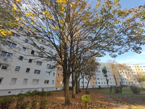 Halle (Saale) Wohnungen, Halle (Saale) Wohnung mieten