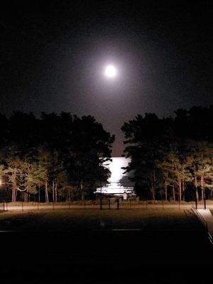 Vollmond und Meerblick – direkt aus der Wohnung erlebbar