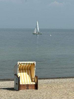 WhatsApp Image 2025-04-14 at 18.40.01.jpeg