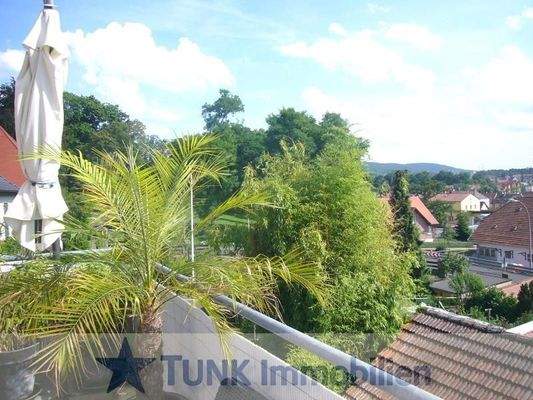 04-Blick über Alzenau