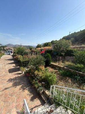 WhatsApp Image 2024-09-06 at 13.20.59 (48).jpeg