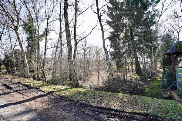 Grundstücksansicht rechts