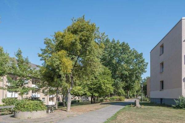 Wolfsburg-ZumHeidgarten-02-40_8857