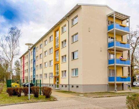 Hoyerswerda Wohnungen, Hoyerswerda Wohnung mieten