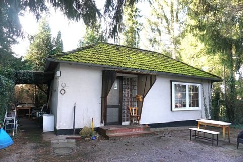 Munster Häuser, Munster Haus kaufen