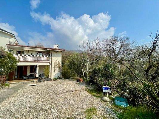 WhatsApp Image 2026-03-13 at 12.25.47 (1).jpeg