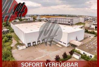 INFOS UNTER: 06171-586000