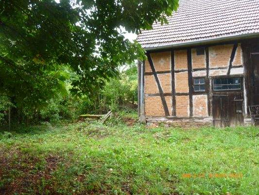 Viel Grün auf dem  Hofgelände