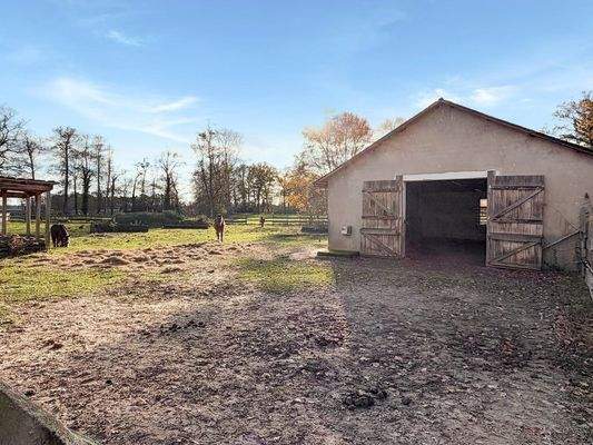 Pferdepaddok mit Offenstahl