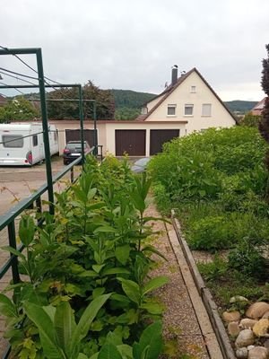Garten.jpg
