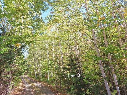 Cape Breton - Bras d`Or Lake - Wunderschönes Misch