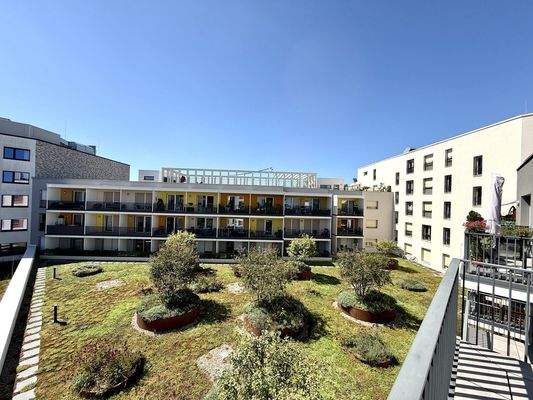 traumhafter Ausblick