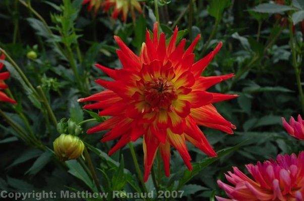 Bild 31