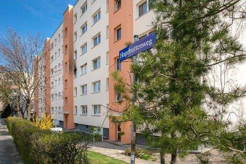 Dresden Wohnungen, Dresden Wohnung mieten