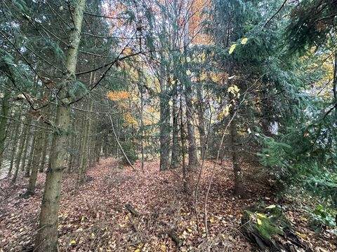 Babensham / Oberbierwang Bauernhöfe, Landwirtschaft, Babensham / Oberbierwang Forstwirtschaft