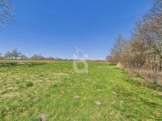 TinyTraum Außenaufnahmen 11