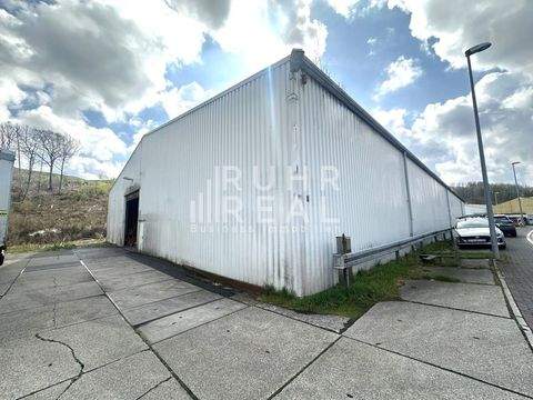 Lüdenscheid Halle, Lüdenscheid Hallenfläche