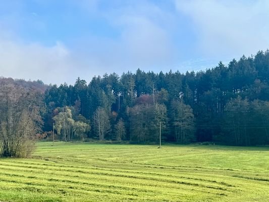 Ausblick Richtung Osten