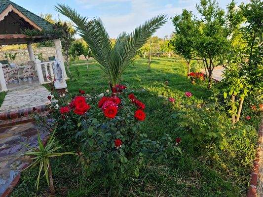 WhatsApp Image 2023-06-15 at 12.01.49 (2).jpeg