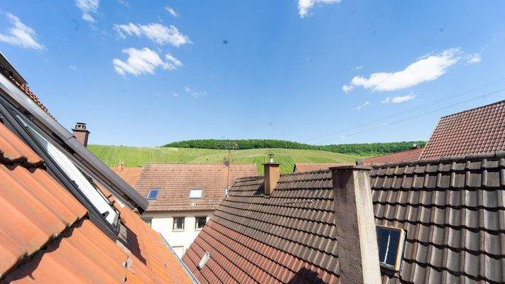 Aufblick