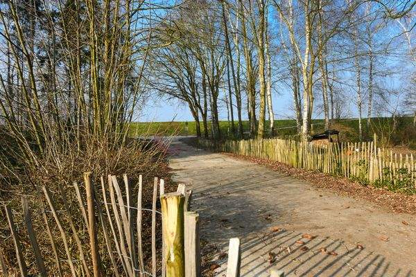 Direkter Zugang zum Deich