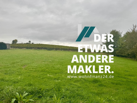 Stadecken-Elsheim Bauernhöfe, Landwirtschaft, Stadecken-Elsheim Forstwirtschaft