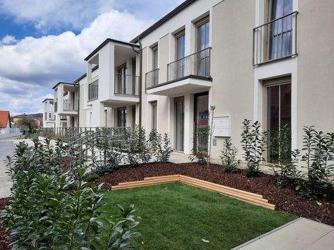 Pinkafeld Wohnungen, Pinkafeld Wohnung mieten