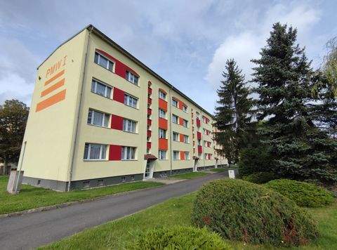 Zwenkau Wohnungen, Zwenkau Wohnung mieten