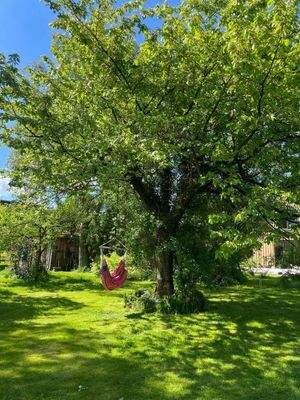 Mal die Seele baumeln lassen? Kein Problem!