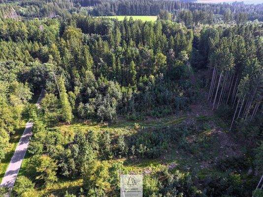 waldverkauf-ingolstadt_37.jpg