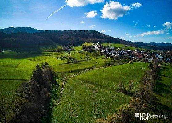 Grundstück aus Osten.jpg