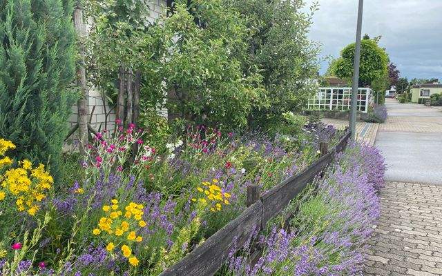 Leonberg Pfullinger Weg Vorgarten