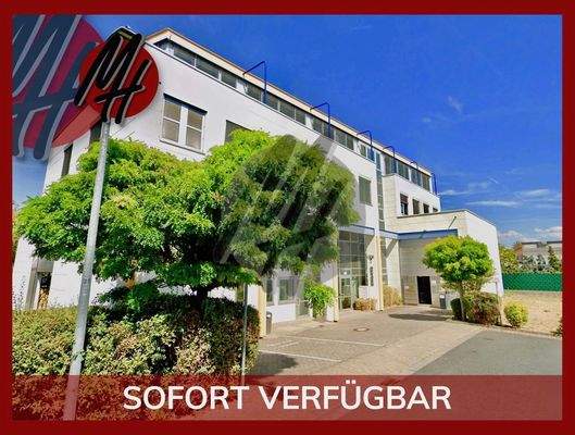 INFOS UNTER: 06171-586000