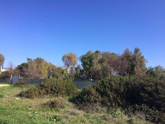 Torre Squillace – fertigzustellendes Wohnprojekt direkt am Meer