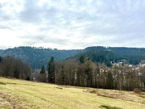 Warmensteinach Grundstücke, Warmensteinach Grundstück kaufen