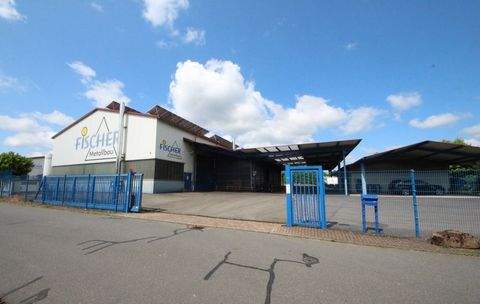 Mudau Halle, Mudau Hallenfläche