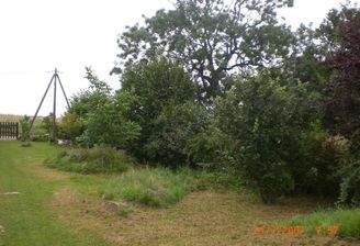 weitere Fotos verfügbar