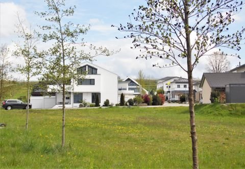 Tettnang Grundstücke, Tettnang Grundstück kaufen