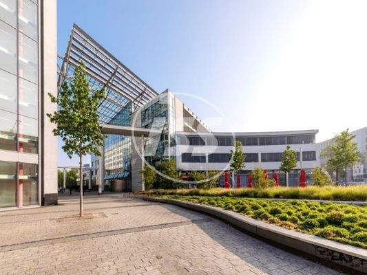 Außenbereich mit Grün