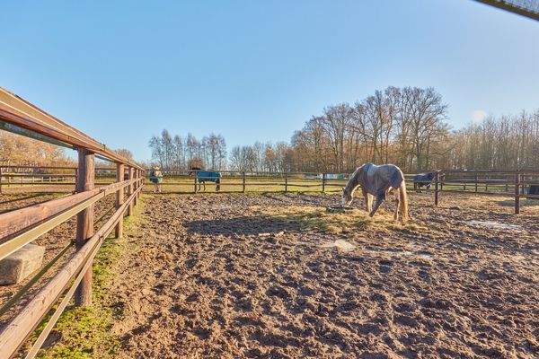 13 Koppeln und Paddocks.jpg